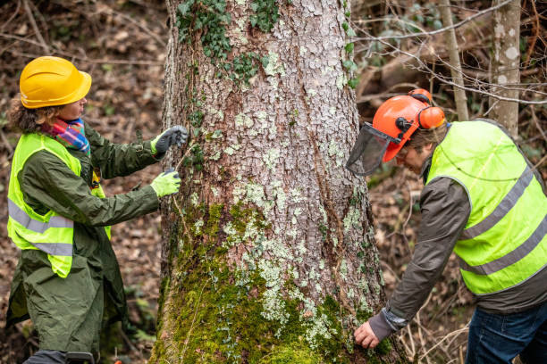 Best Emergency Tree Removal  in Crooked River Ranch, OR